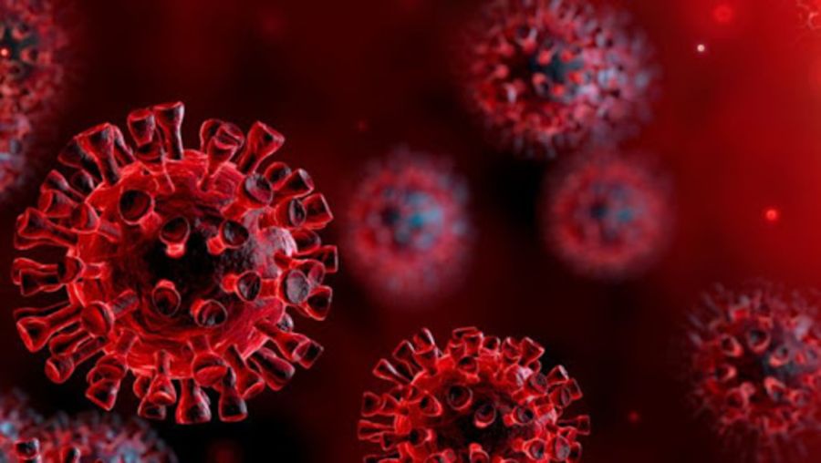 Researchers Found New Coronavirus Mutation